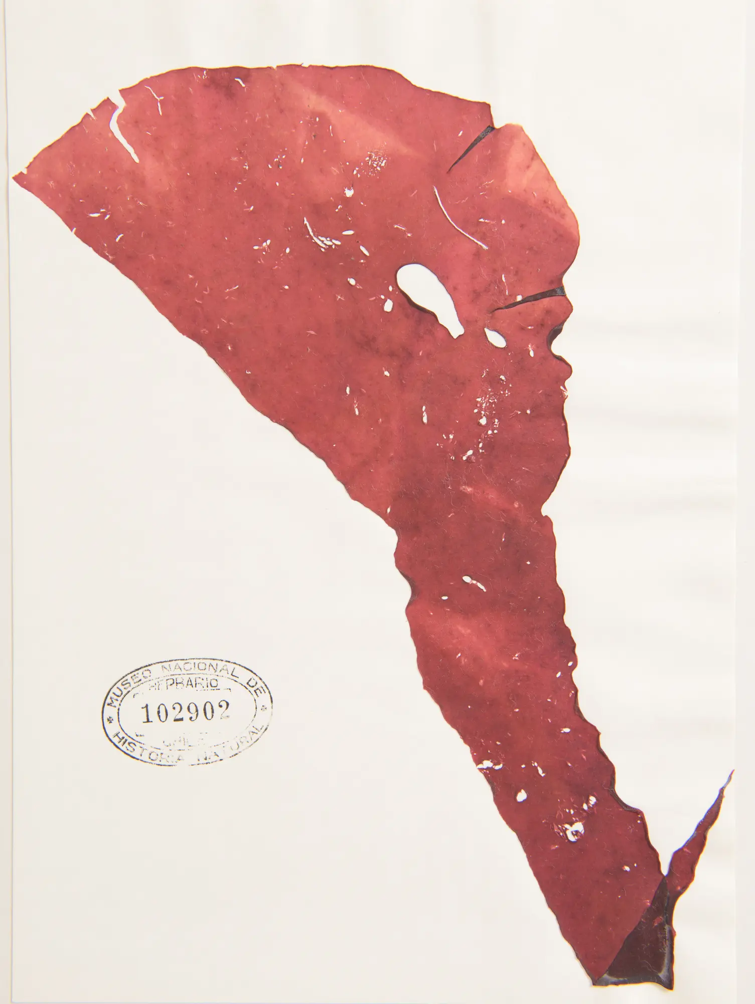 102902 03